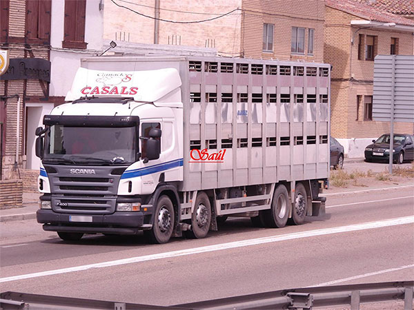 Ganados Casals camión de transporte en autopista