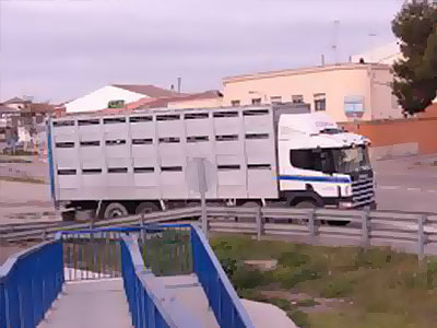 Ganados Casals camión de transporte blanco