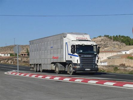 Ganados Casals camión de transporte en carretera